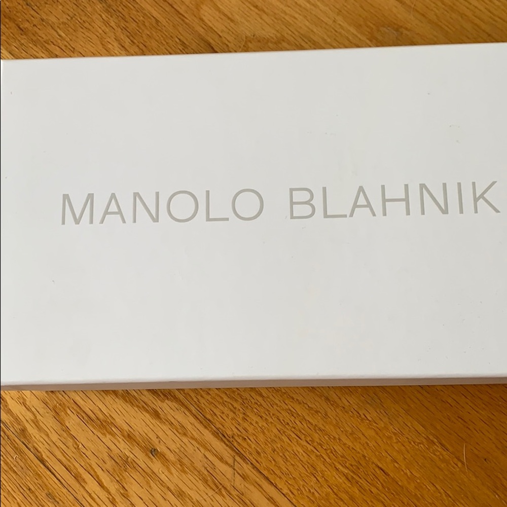 Manolo Blahnik slides